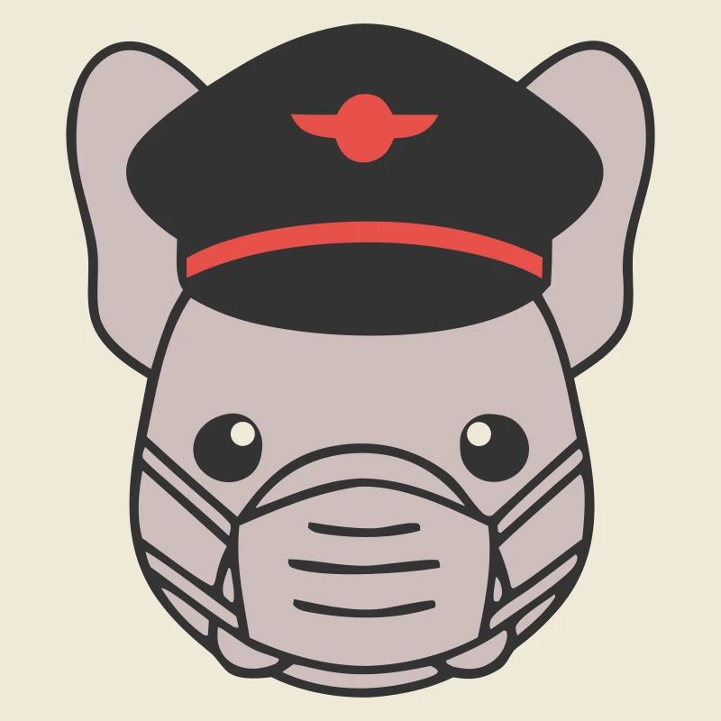 Frenchie Pilot Mask Flying