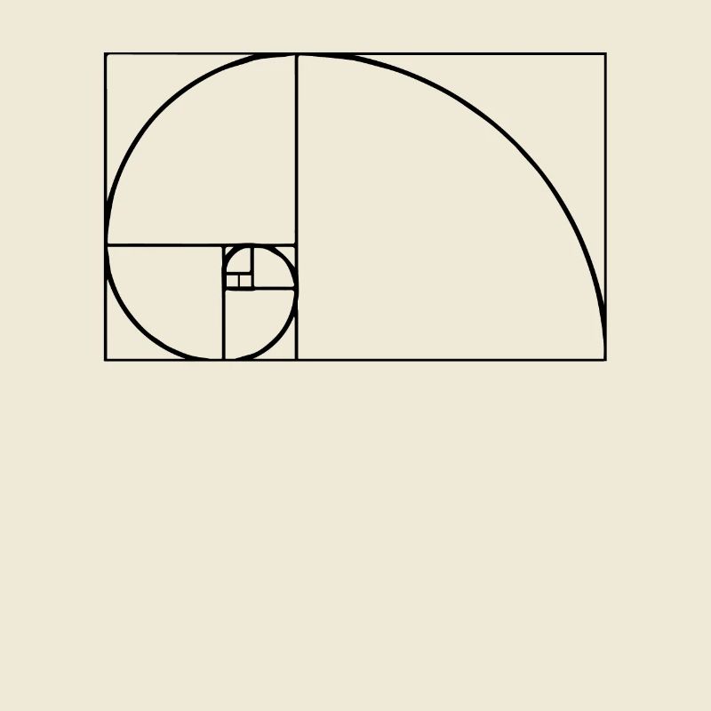 Fibonacci Tshirt