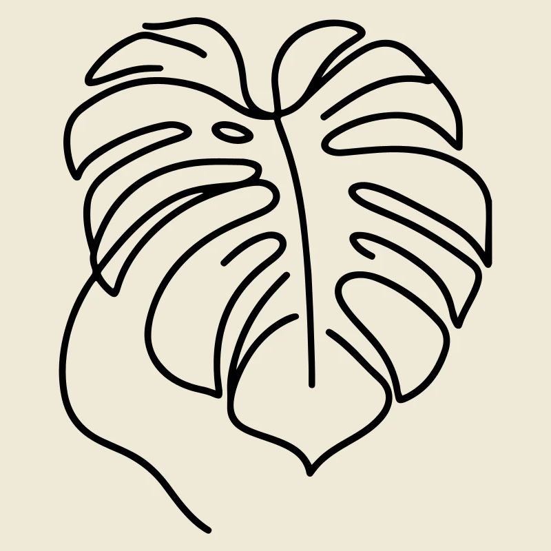 Monstera