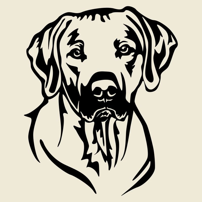 Rhodesian Ridgeback Kopf