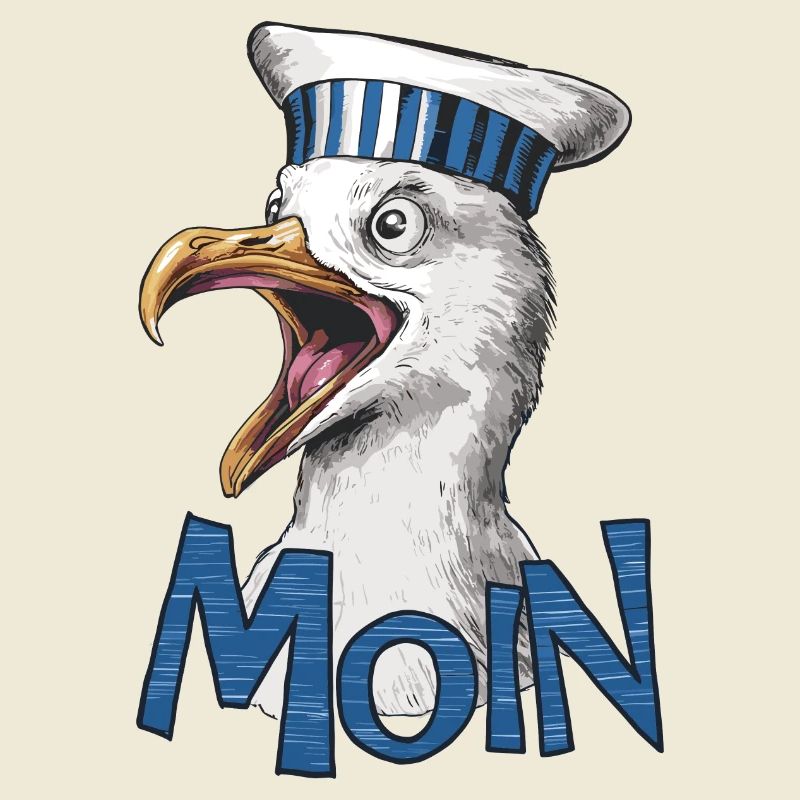 Moin Seagull