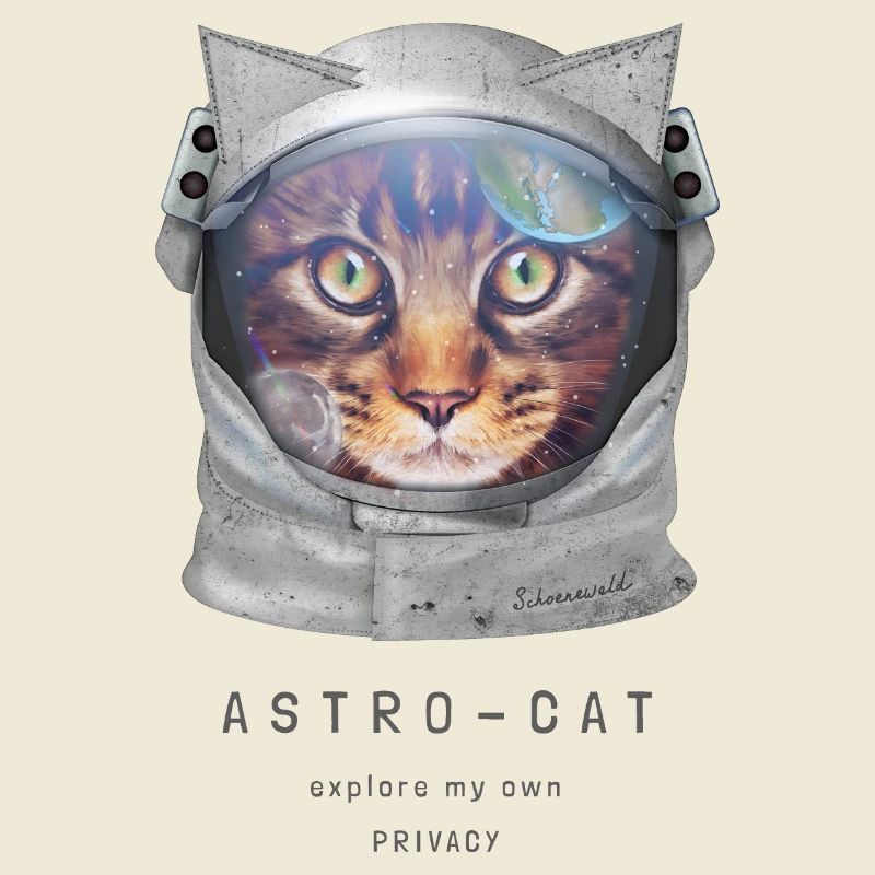 | de chat de l’espace Chat astronaute dans l’espace