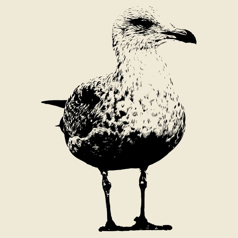 Mouette