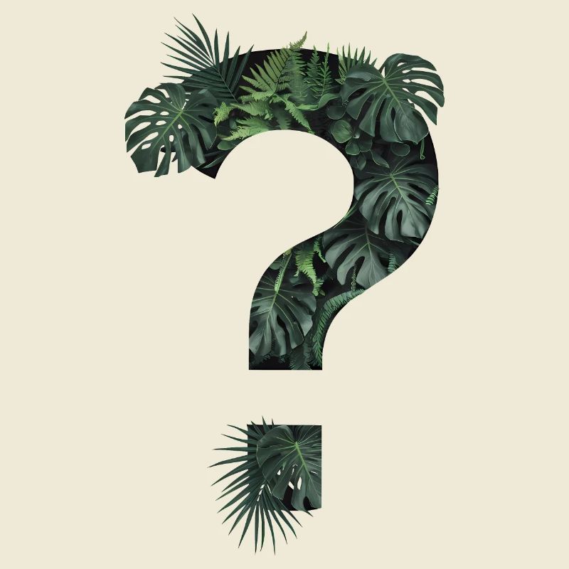 Plantes tropicales vertes Point d’interrogation jungle