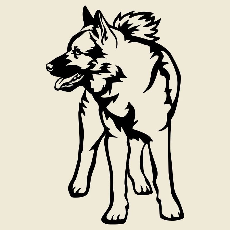 Norwegischer Elchhund