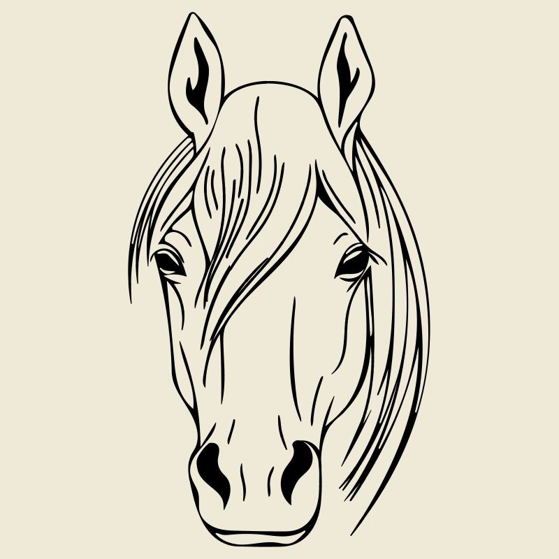 Vector de cabeza de caballo
