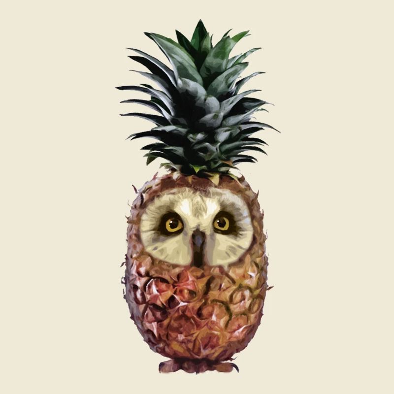 Ananas-Eule