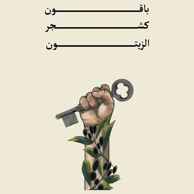 Solid like Oliven trees