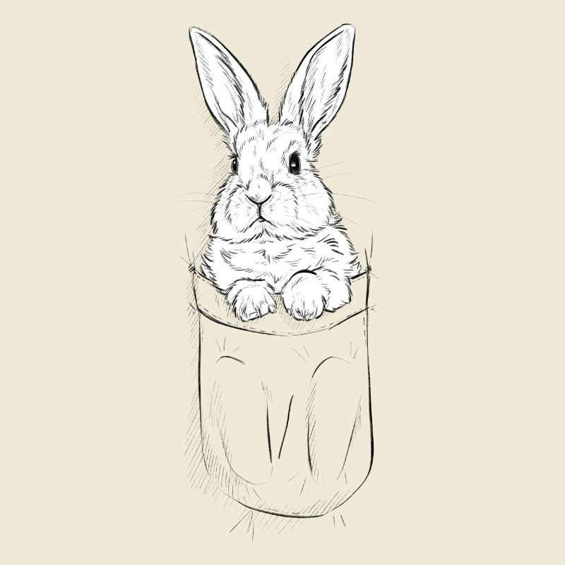 cute rabbit in bag