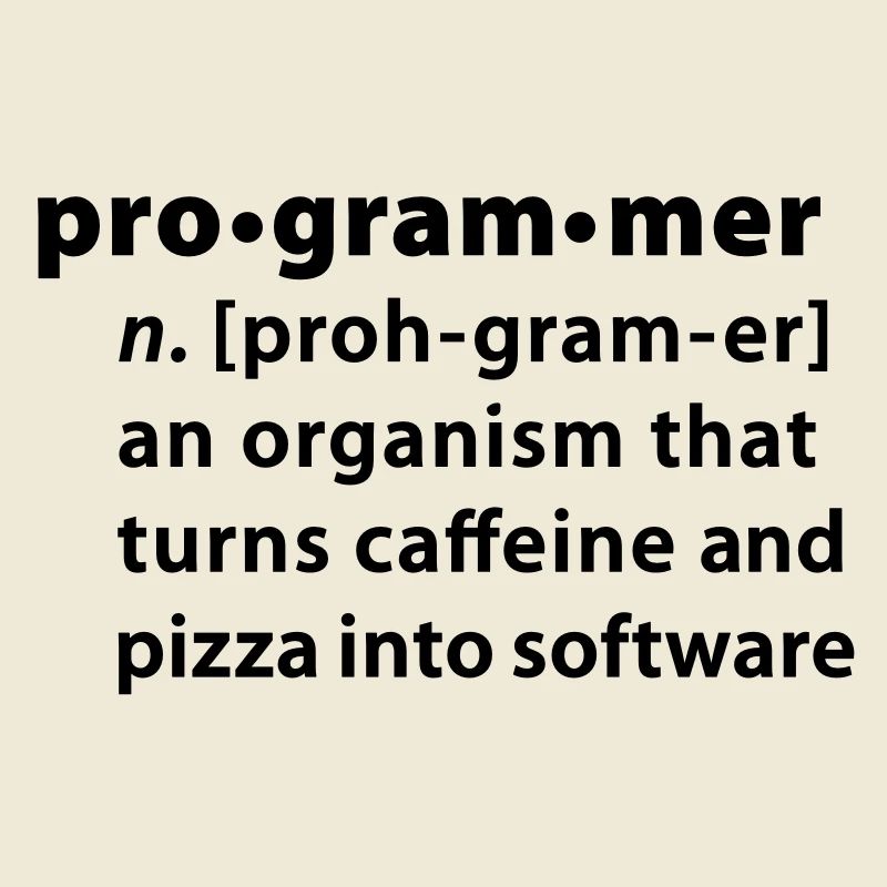 Programmer definition - Programmer la définition