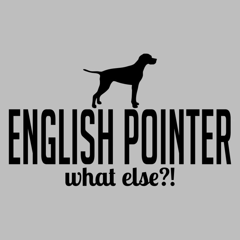 ENGLISH POINTER what else