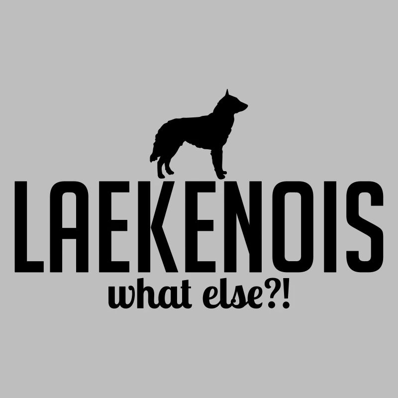 LAEKENOIS what else