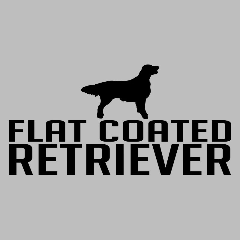 FLAT COATED RETRIEVER Hunderasse