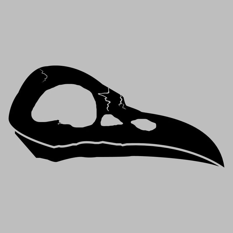 Rabenschädel | Crow Skull