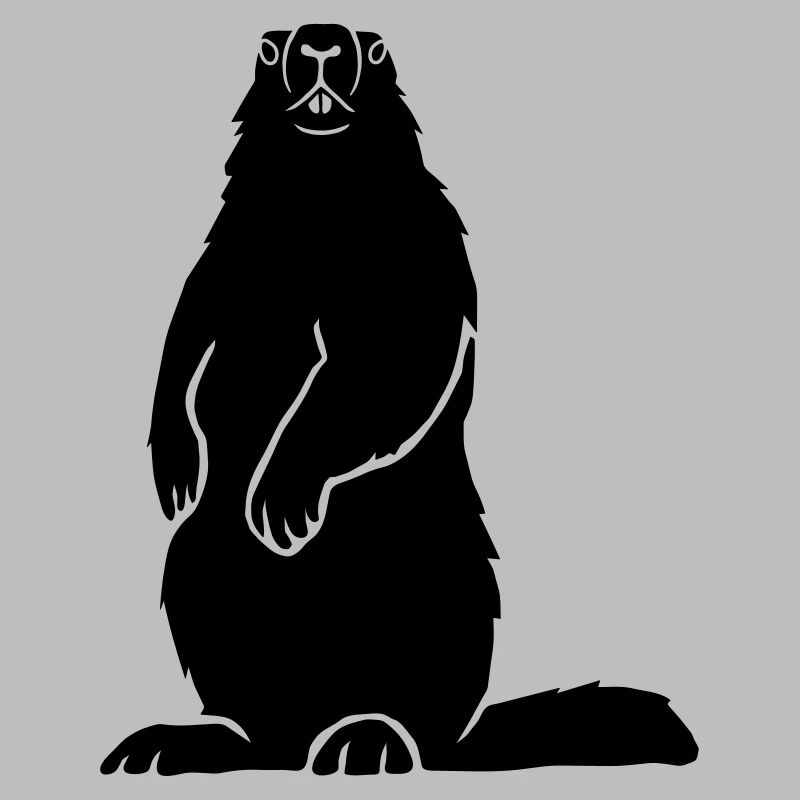 Murmeltier Alpen Alps Berge Groundhog Erdhörnchen