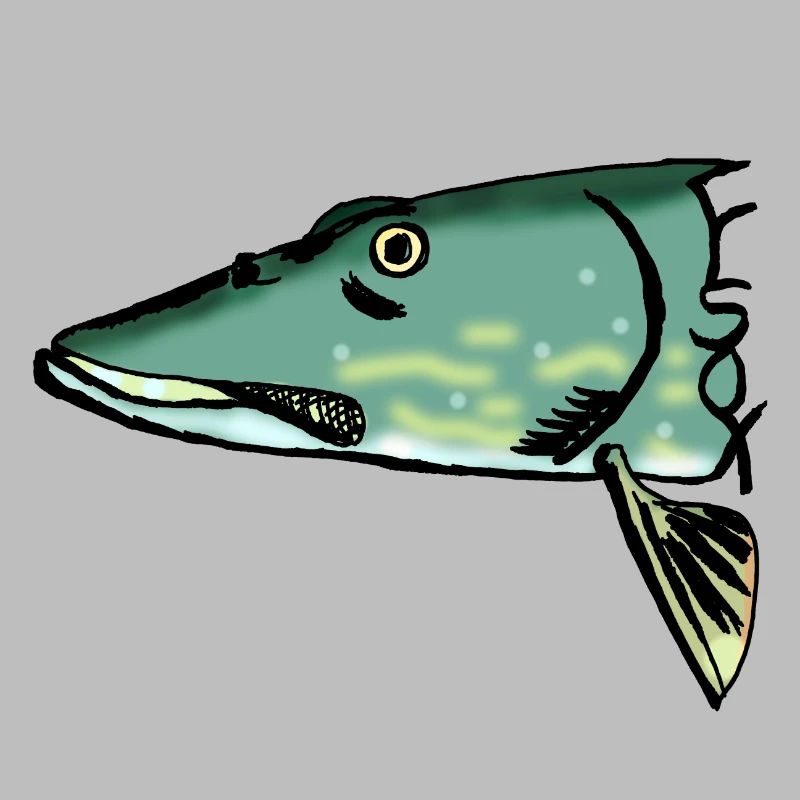 brochet