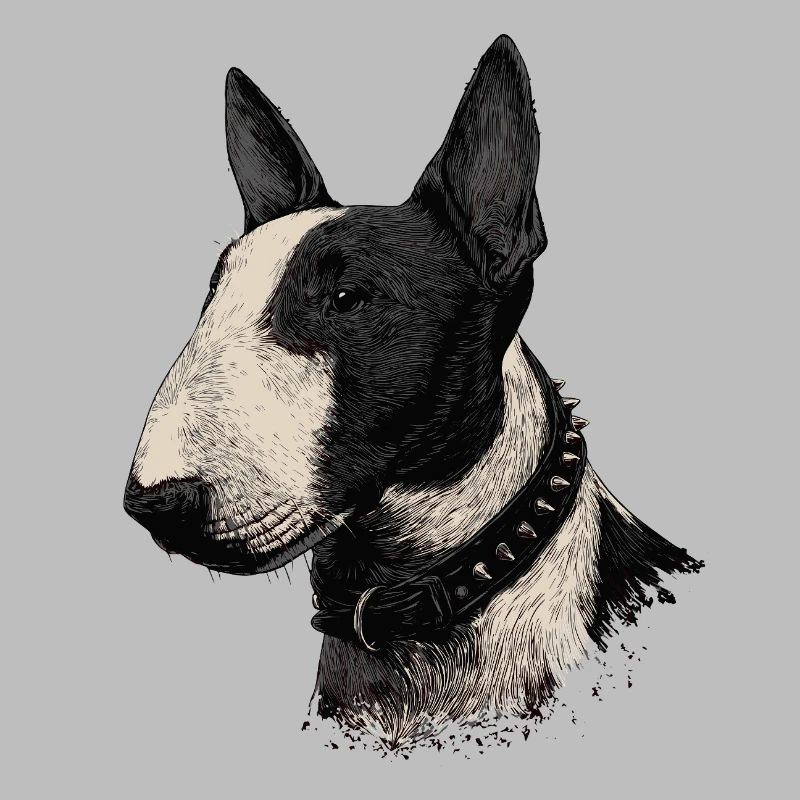 Bullterrier 