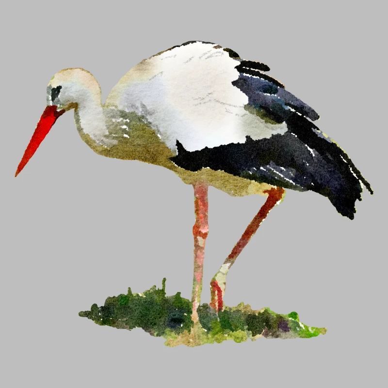 storch vogel