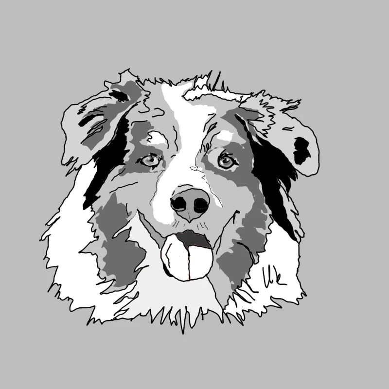 Australian Shepherd