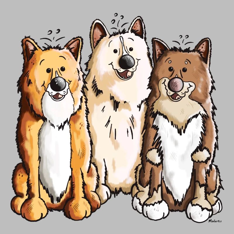 Das Islandhund Team