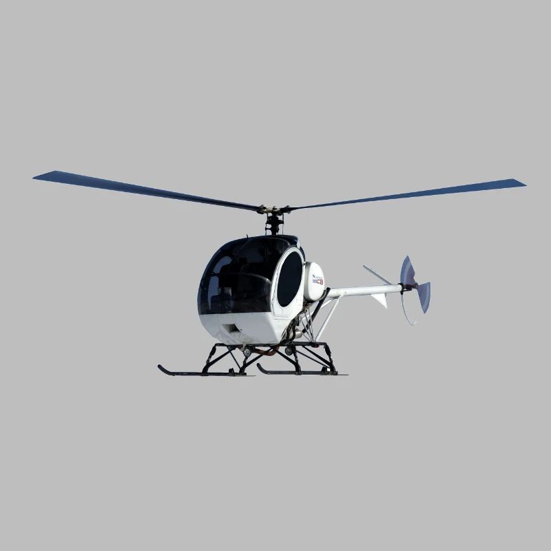 Schweizer 300
