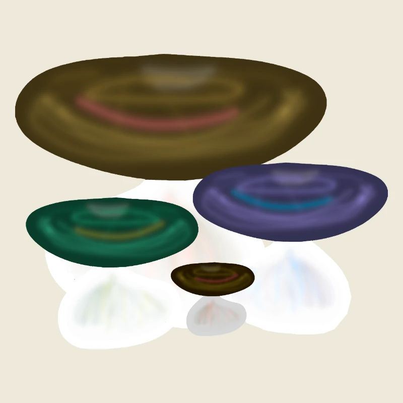 forêt naturelle colorée de champignons