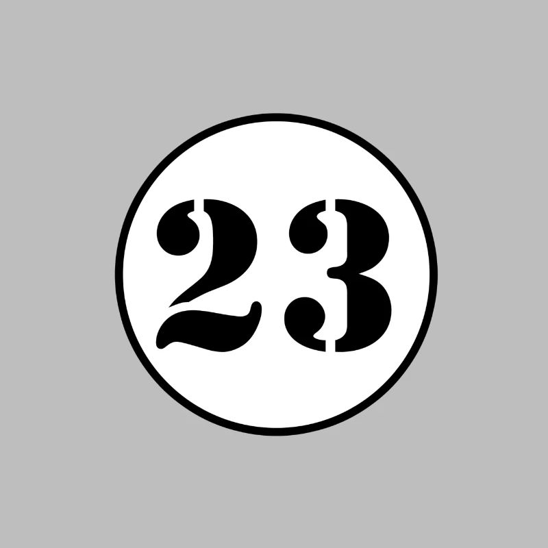 NUMBER 23 twenty three birthday gift