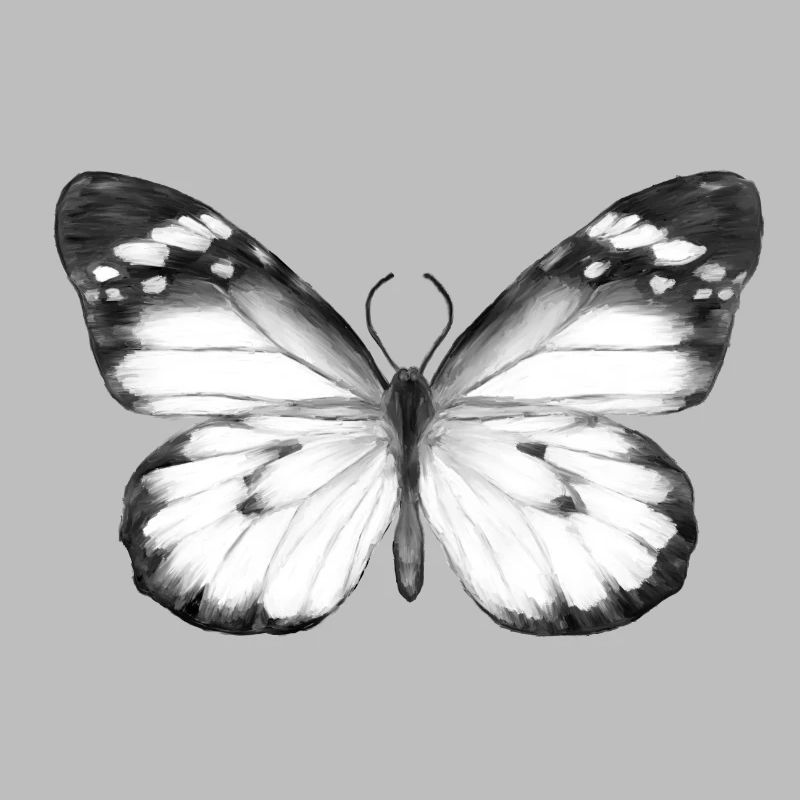 Papillon monochrome
