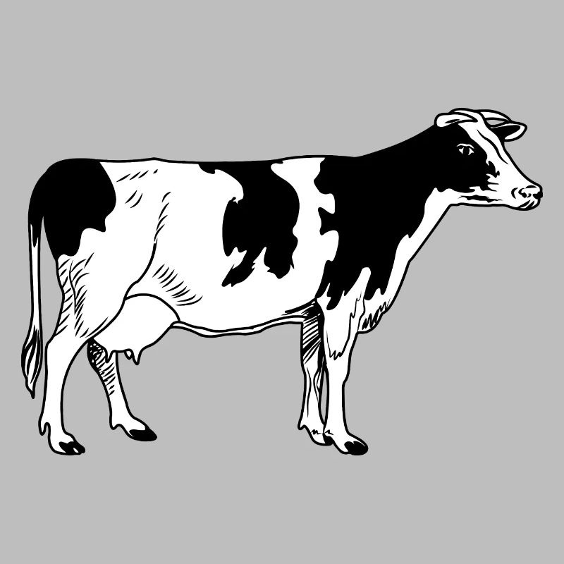 cow image looks after front