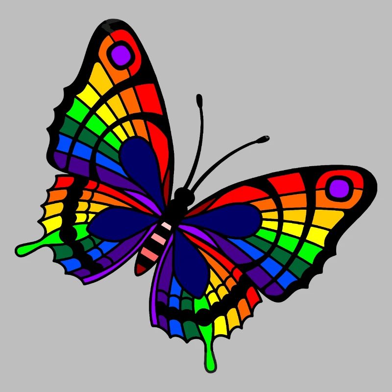 Papillon arc-en-ciel LGBTQ+