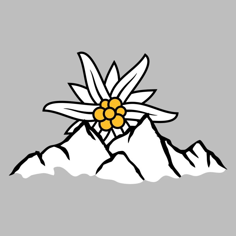 Sonne Bergblume Edelweiss