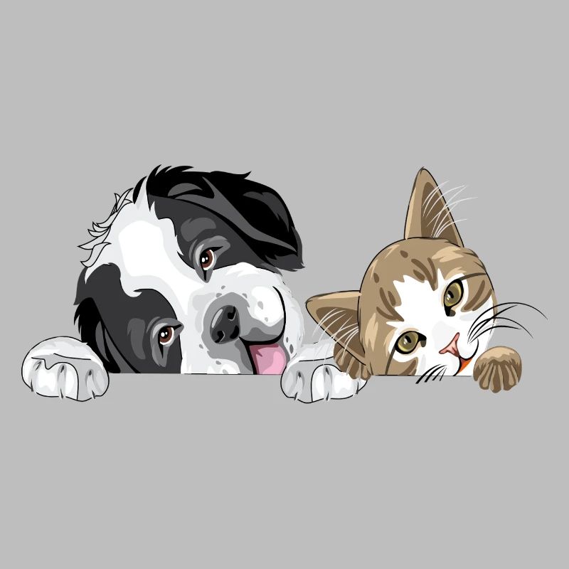 Cat and dog
