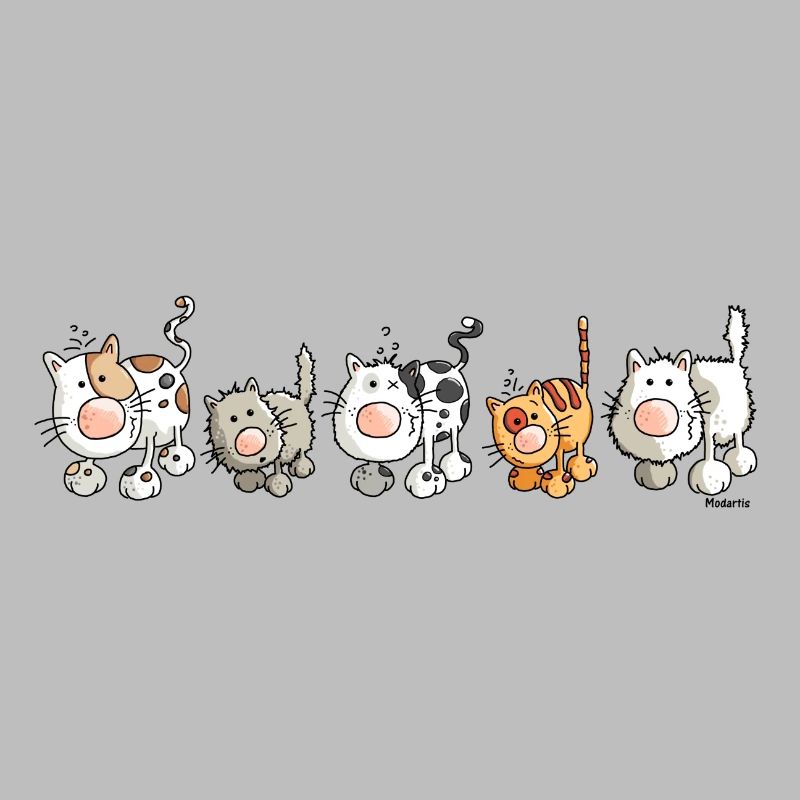 Funny Cats - Katzen