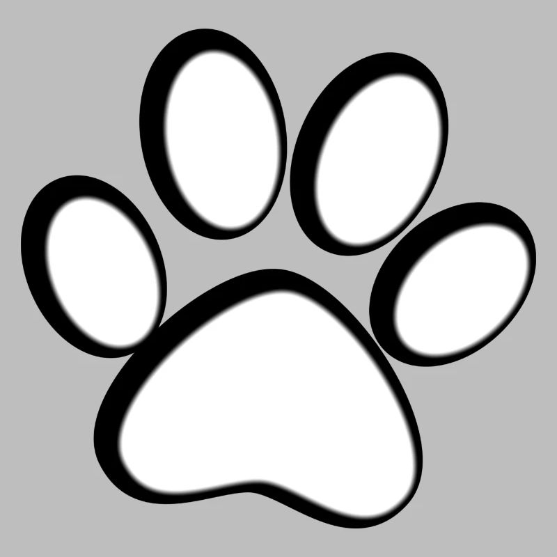 Patte de chat