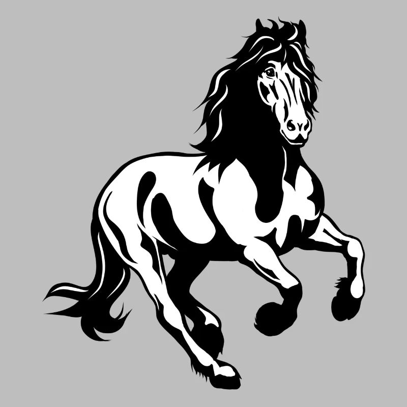 Friesian stallion galloping