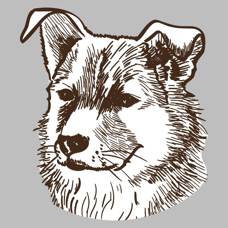 Chien