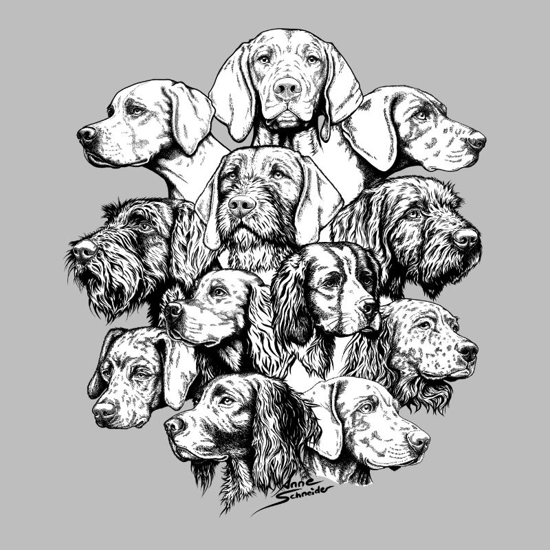 Hidden Object Pointing Dogs