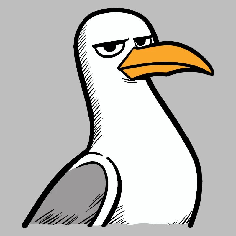 Seagull View