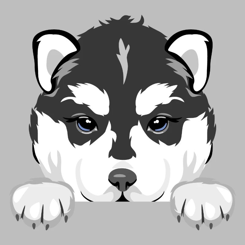 Spähender Husky-Welpe