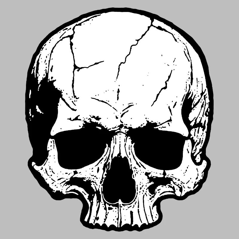Skull Silhouette High Contrast