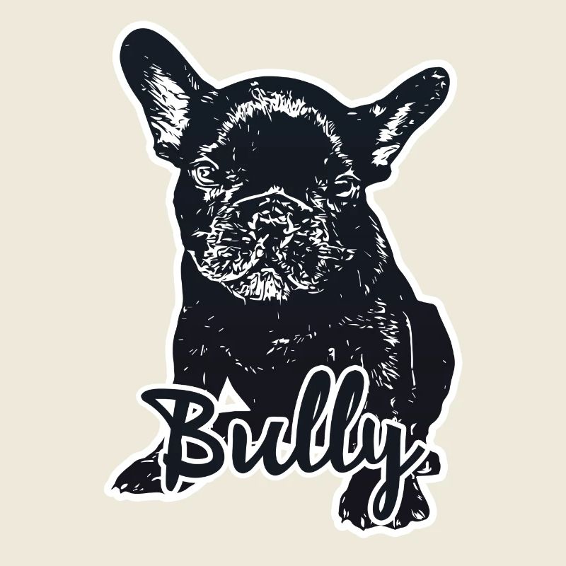 Bully black français bulldog chiot