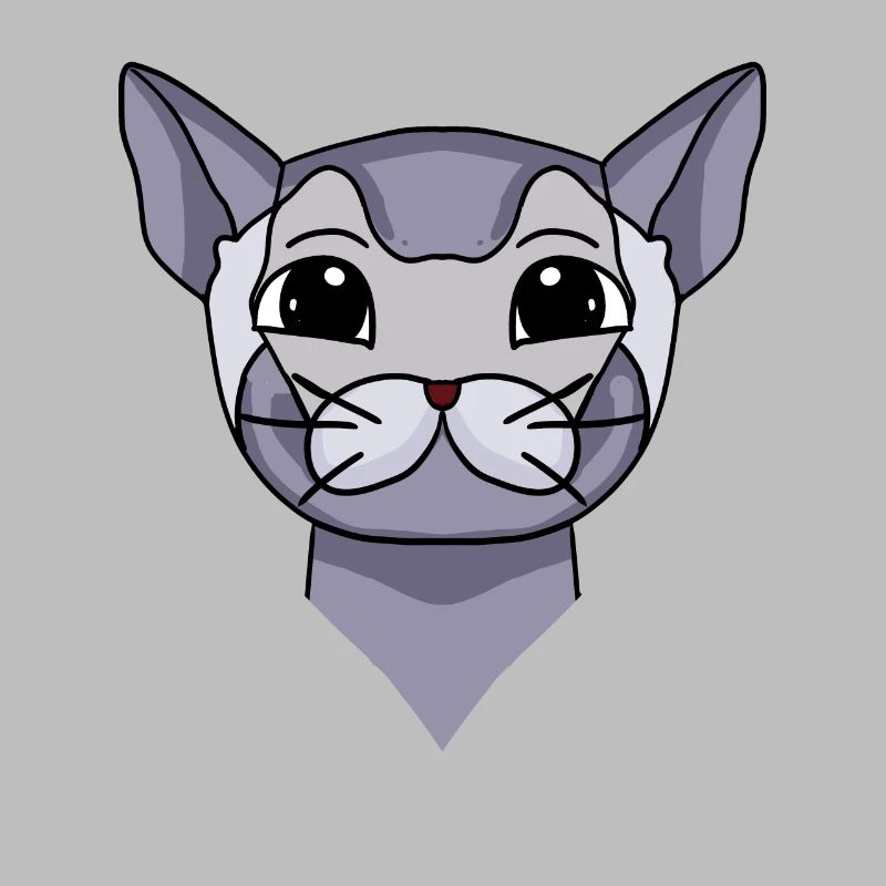 Britisch Kurzhaar Kopf Katze Katzenbesitzer