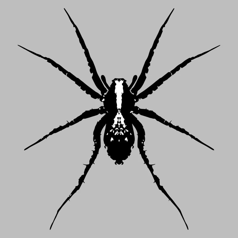 Spinne / Wolfsspinne