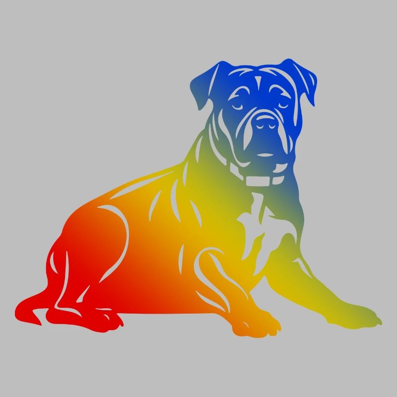 Chien Pit Terrier
