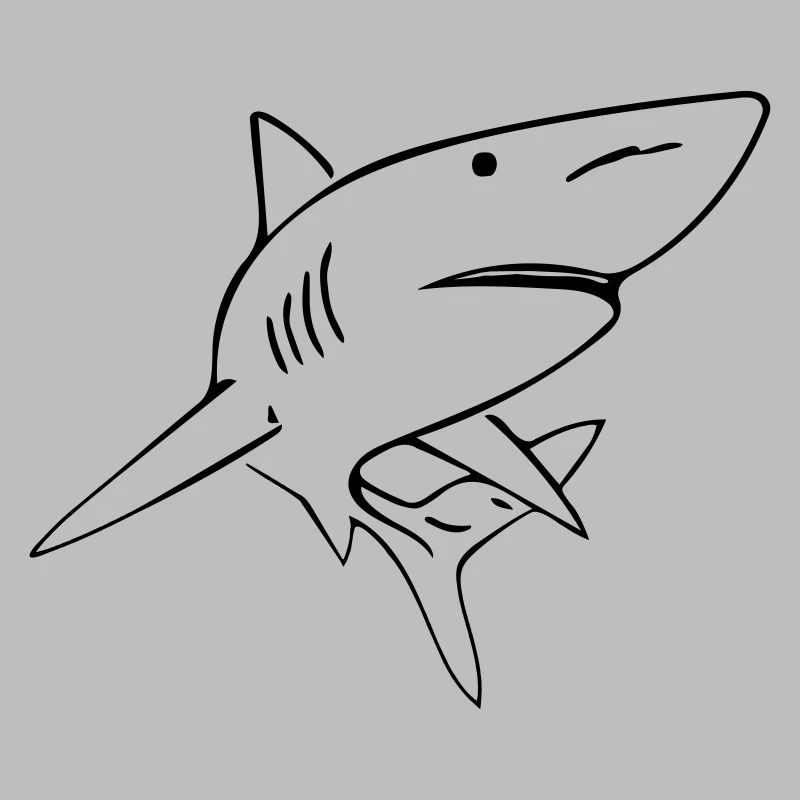 Shark - Vector Design