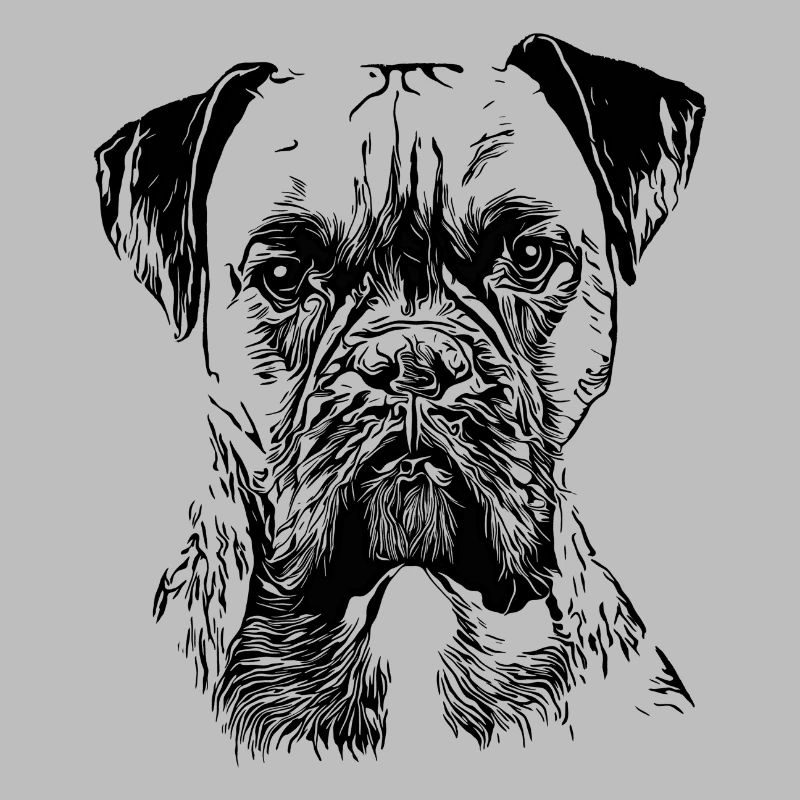Deutscher Boxer Hund