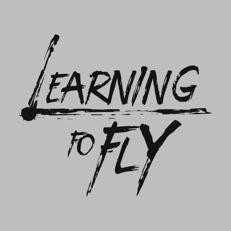 Learning to fly Flying Airplane Pilot Flyer