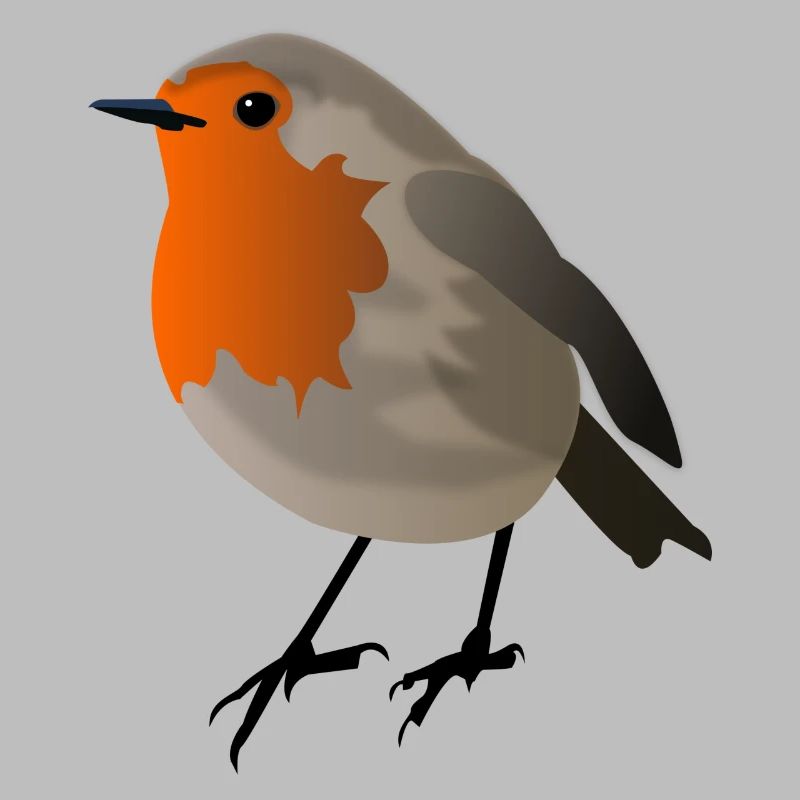 robin