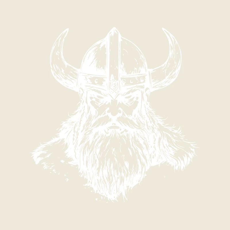Wikinger Odin