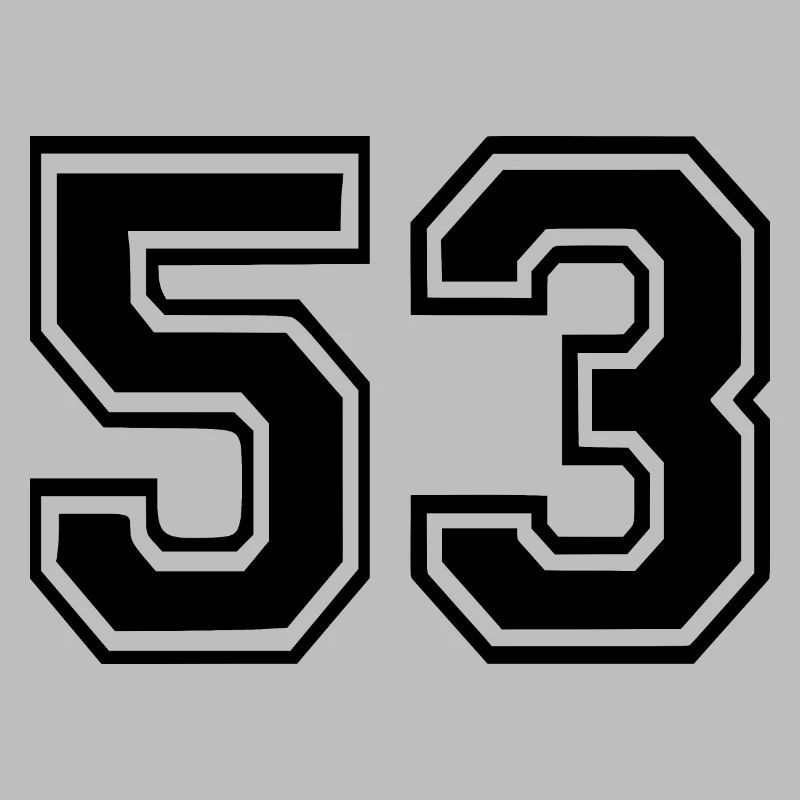 53